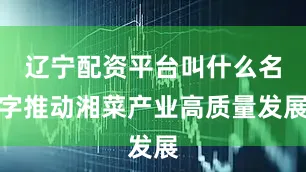 辽宁配资平台叫什么名字推动湘菜产业高质量发展